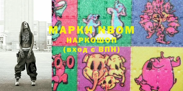 прущие грибы Корсаков