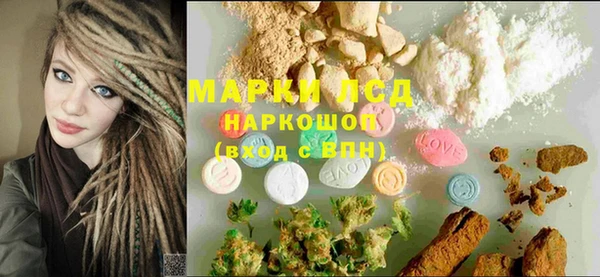 прущие грибы Корсаков