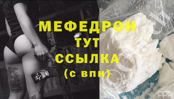 прущие грибы Корсаков