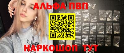 сатива Славгород