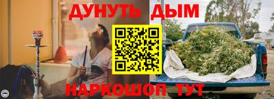 сатива Славгород