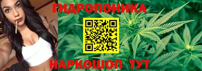 Альфа ПВП Славянск-на-Кубани