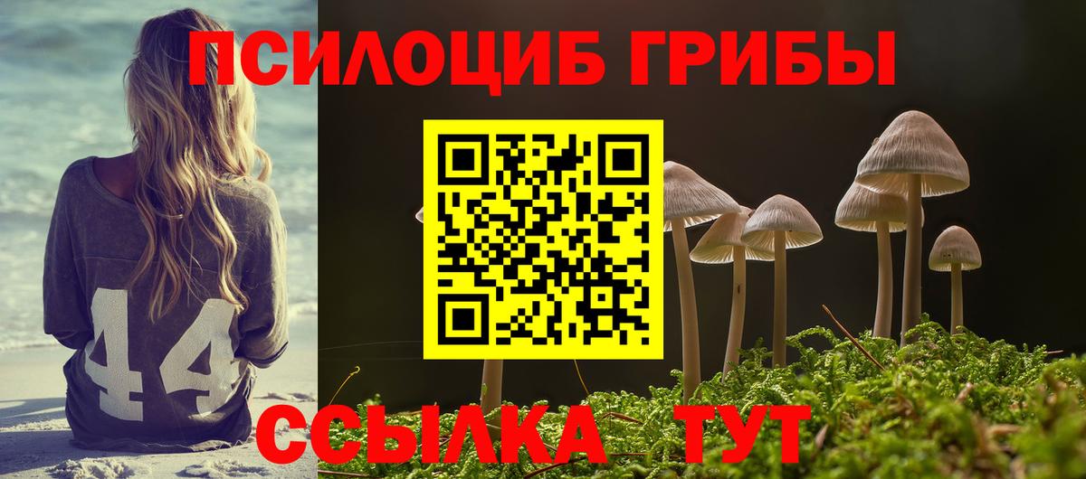 Галлюциногенные грибы Psilocybine cubensis Минеральные Воды
